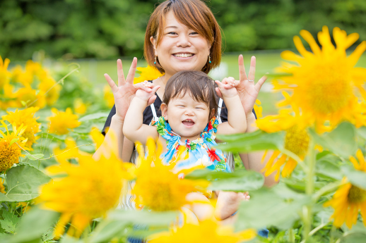 ひまわり畑で笑う親子